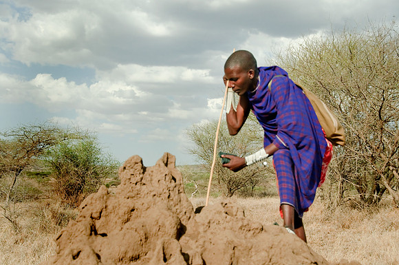africa 09_7149