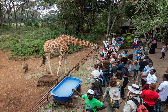 Kenya_Jul212019_3852