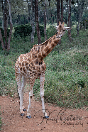 Kenya_Jul212019_3845