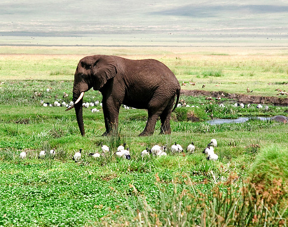 africa 09_7307