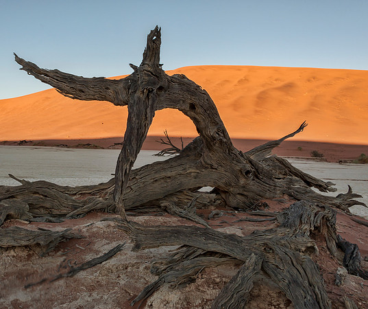 Namibia700_061916_4527