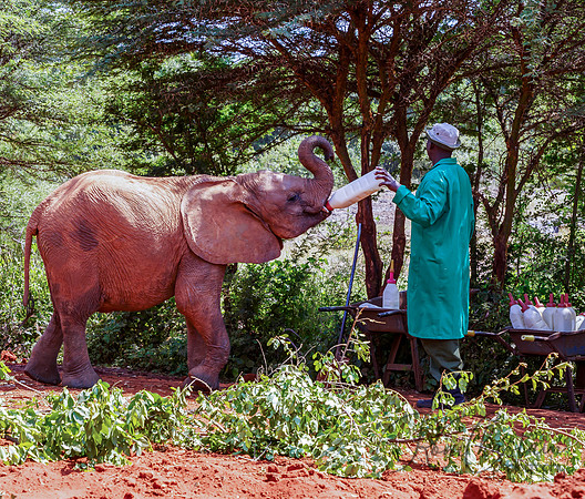 Kenya_Jul212019_3384