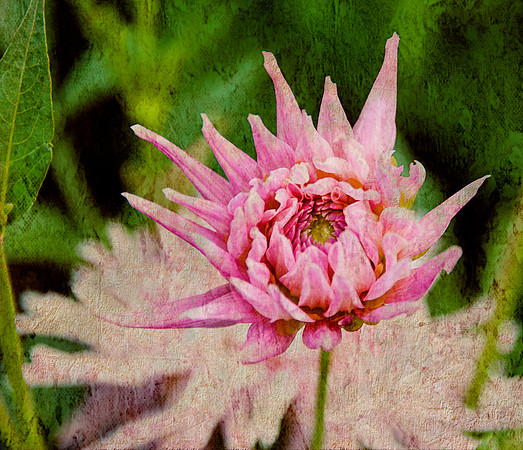 BerkshiresBotanical_Jul092014_0153