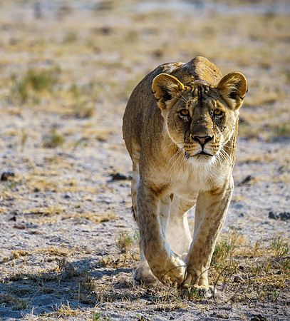 Kenya_Jul232019_2771