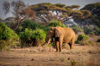 Kenya_Jul222019_4215