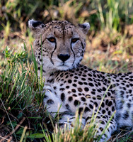 Kenya_Jul252019_6251