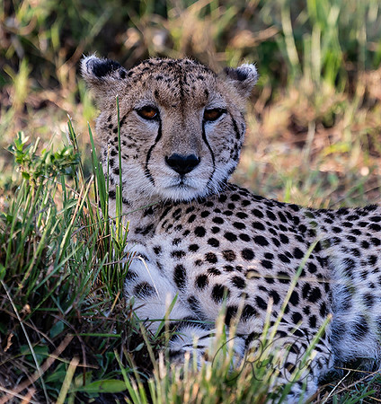 Kenya_Jul252019_6251