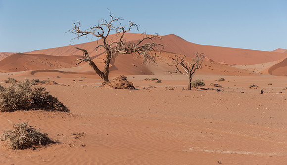 Namibia700_061916_4671