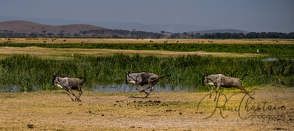 Kenya_Jul232019_2053