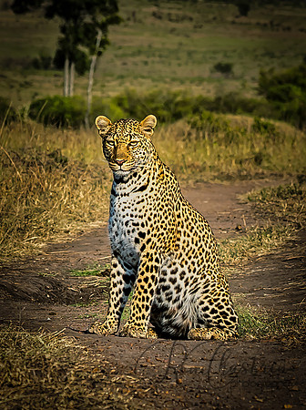 Kenya_Jul282019_4308_output