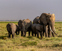 Kenya_Jul232019_0412