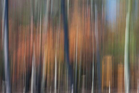 PEEC_Oct192013_0363