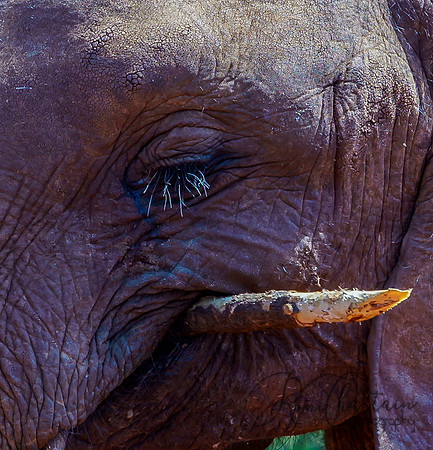 Kenya_Jul212019_3407