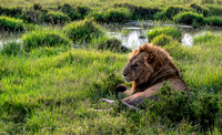 Kenya_Jul252019_5942