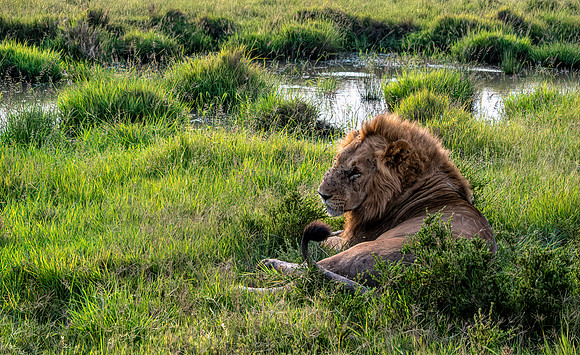 Kenya_Jul252019_5942