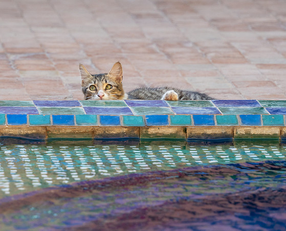 Morocco 2023_0863