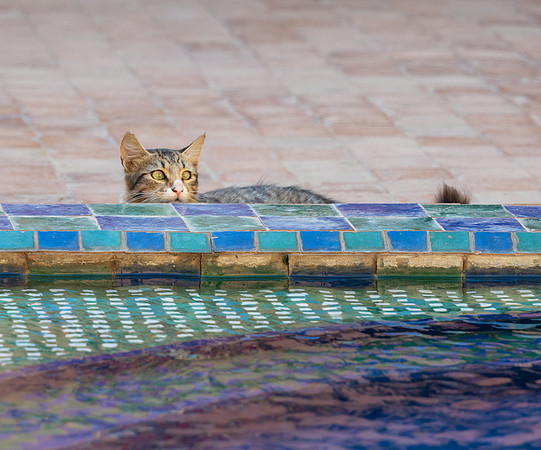 Morocco 2023_0864