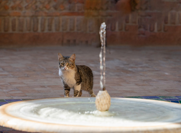 Morocco 2023_0862