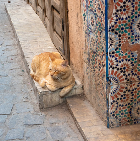 Morocco 2023_0770
