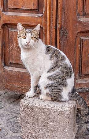 Morocco 2023_0898