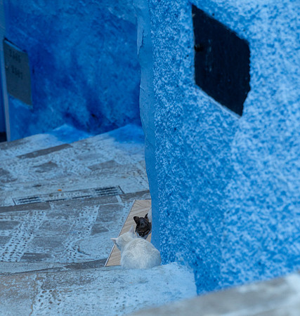 Morroco 2023_1095