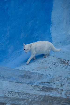 Morroco 2023_1099