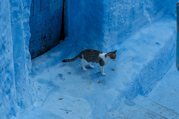 Morroco 2023_1113