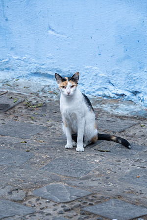 Morroco 2023_1156