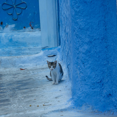 Morroco 2023_1209