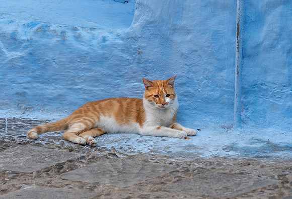 Morroco 2023_1249