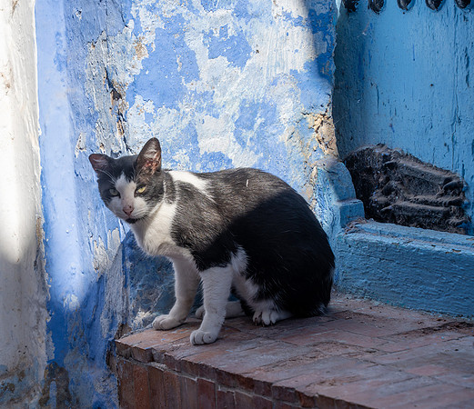 Morroco 2023_1269