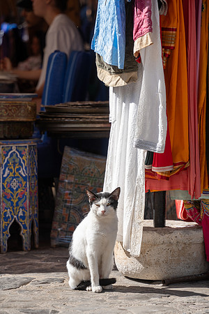 Morroco 2023_1284