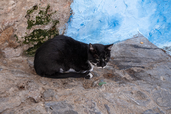 Morroco 2023_1454