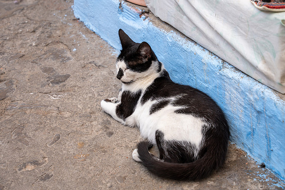 Morroco 2023_1471