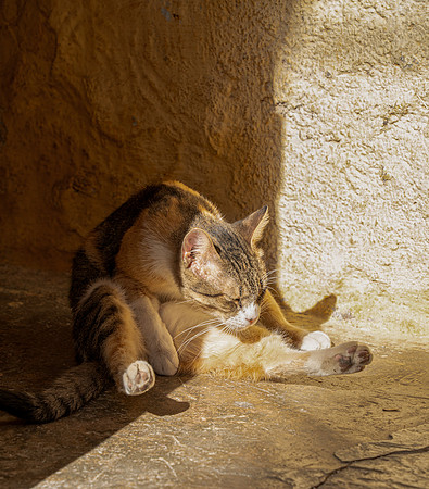Morroco 2023_1638