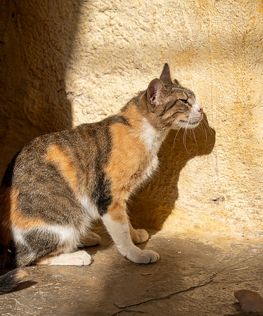 Morroco 2023_1639