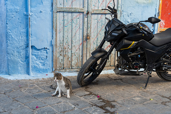 Morroco 2023_1507