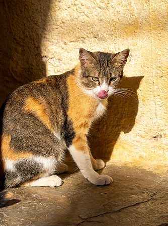 Morroco 2023_1640
