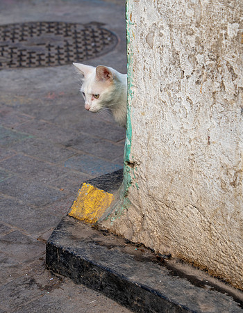 Morroco 2023_1644