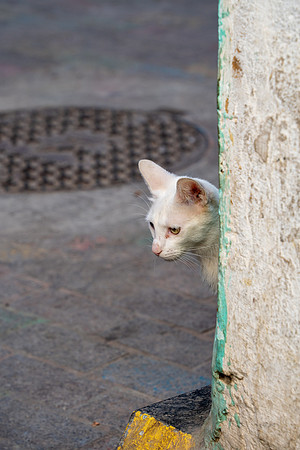 Morroco 2023_1645