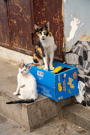 Morroco 2023_1655