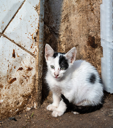 Morroco 2023_1684-2