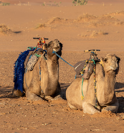Morocco 2023_0065