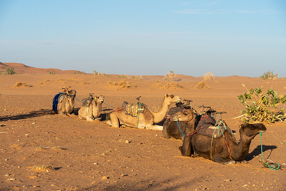 Morocco 2023_0064