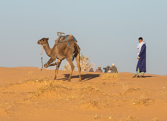 Morocco 2023_0079