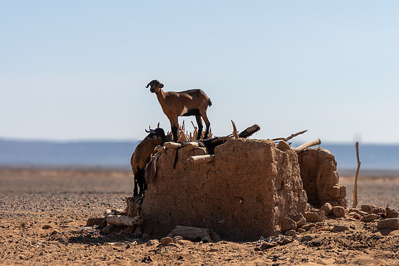 Morocco 2023_0090