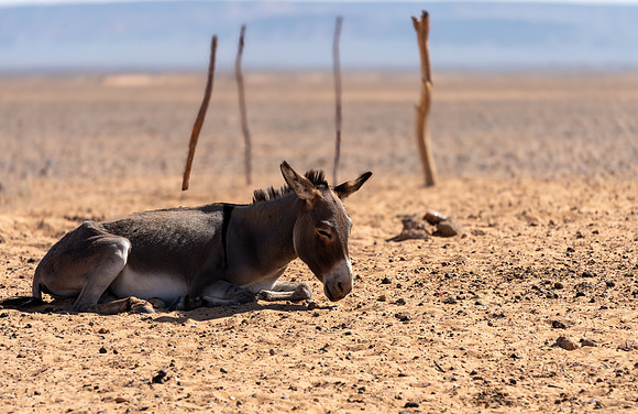 Morocco 2023_0092