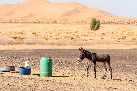 Morocco 2023_0133