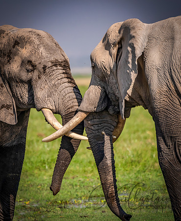 Kenya_Jul232019_0239