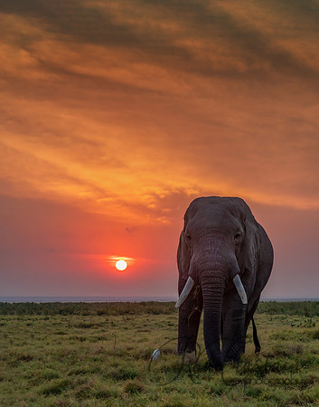 Kenya_Jul242019_9864